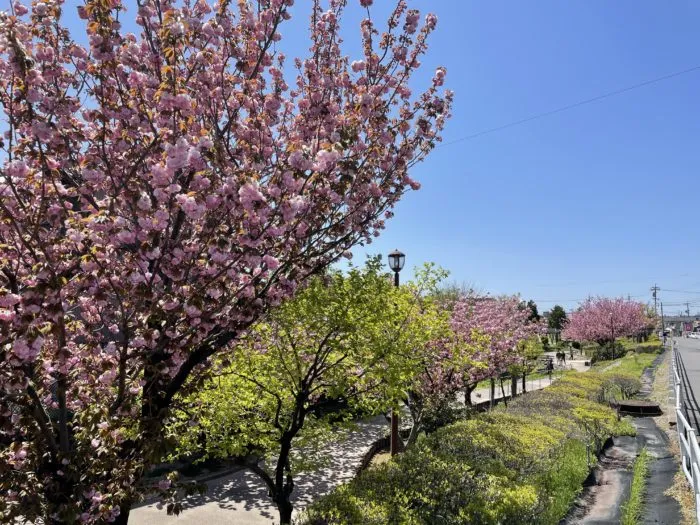 屋根塗装の足場